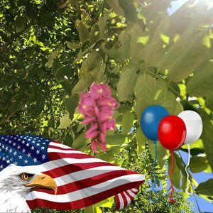 Meet your Posher, Darlyne